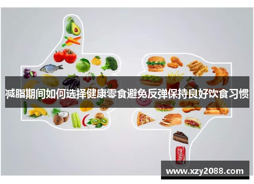 减脂期间如何选择健康零食避免反弹保持良好饮食习惯